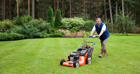 Do&#8217;s and Don&#8217;ts of Natural Lawn Care